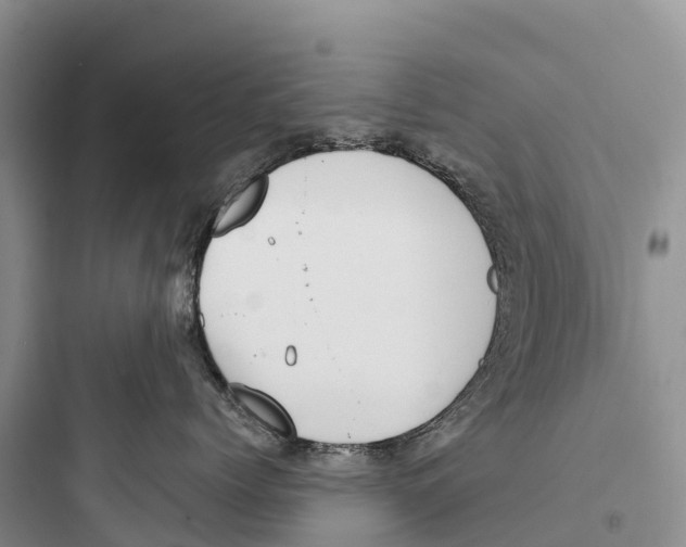 X0000097590768200803211636