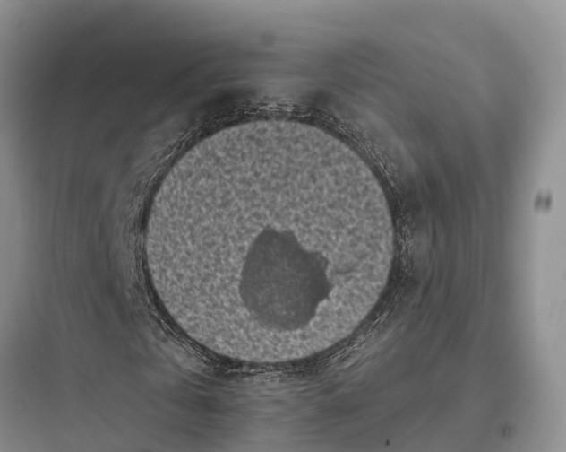 X0000097590769200803211635