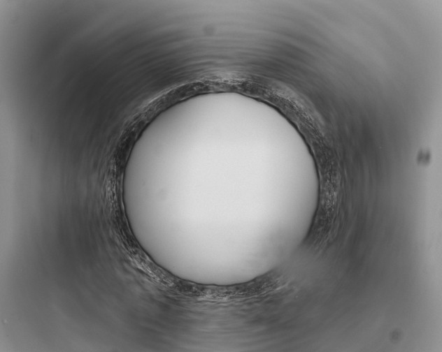 X0000097590773200803211635