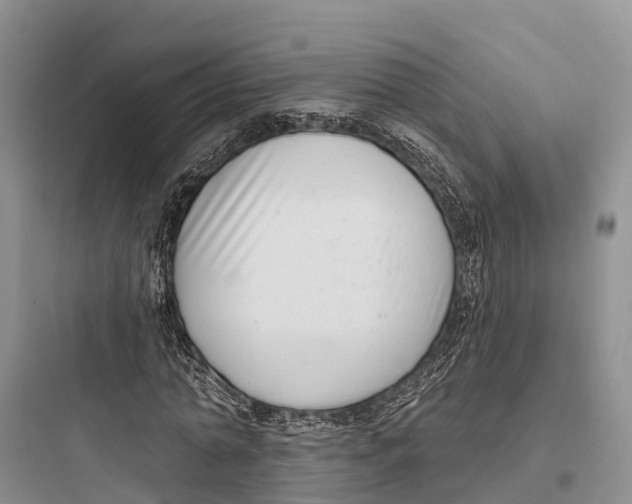 X0000097590774200803211635