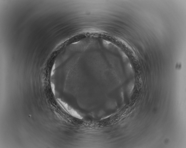 X0000097590775200803211635