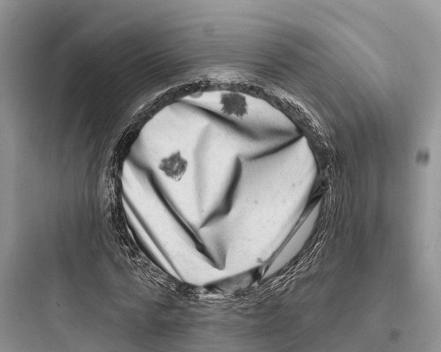 X0000097590776200803211635