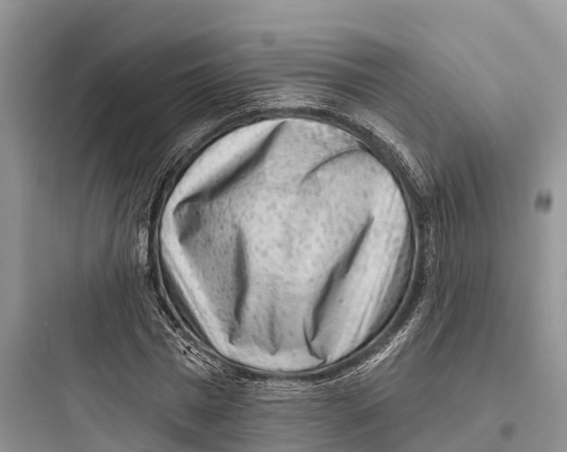 X0000097590777200803211635