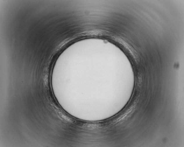 X0000097590778200803211635