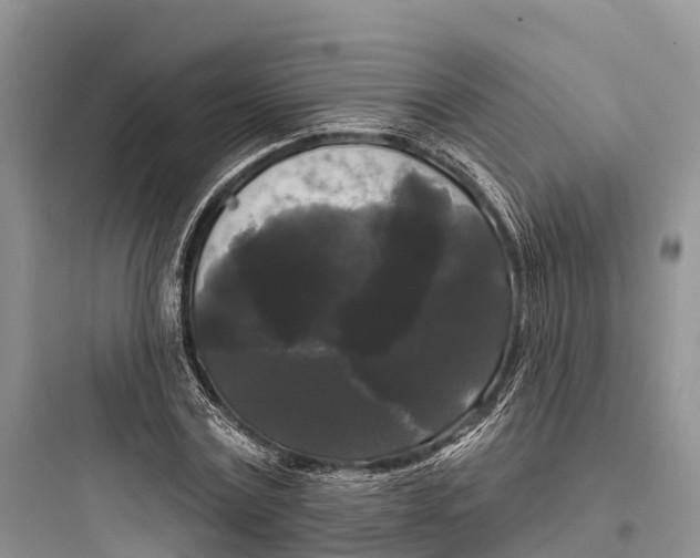 X0000097590779200803211635