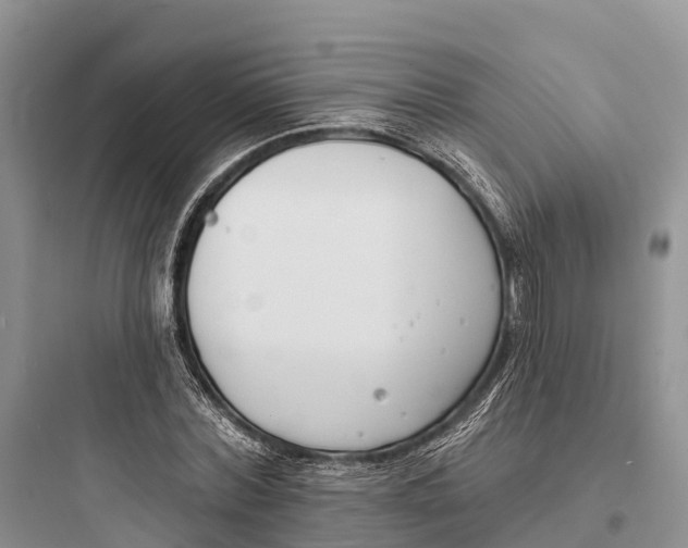 X0000097590780200803211635