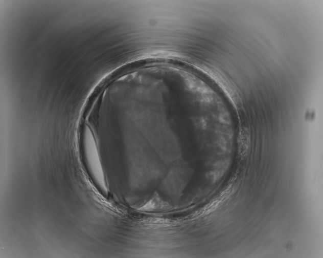 X0000097590783200803211635