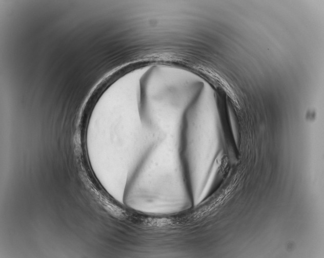 X0000097590784200803211635