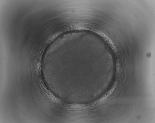 X0000097590785200803211635