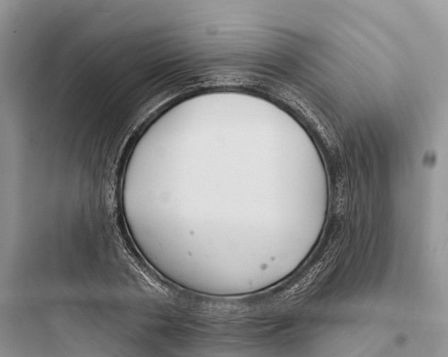 X0000097590786200803211635