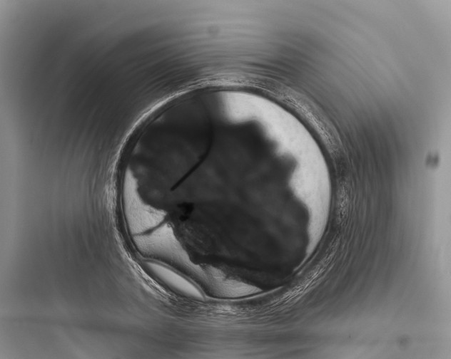 X0000097590787200803211635