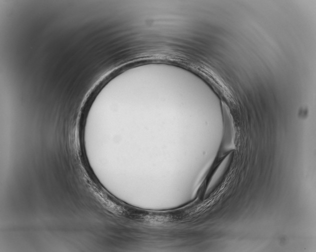 X0000097590788200803211635