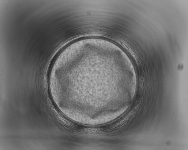 X0000097590789200803211635