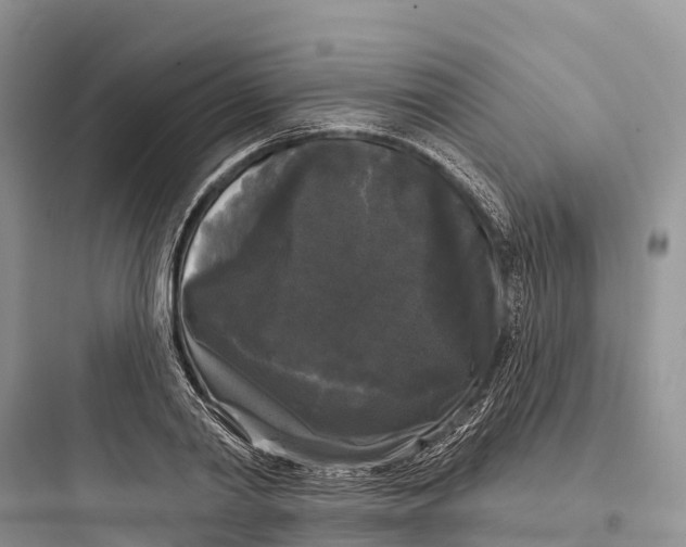 X0000097590790200803211635