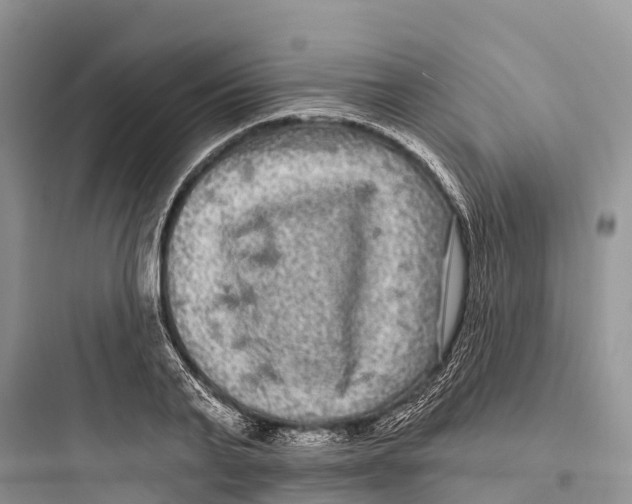 X0000097590791200803211635