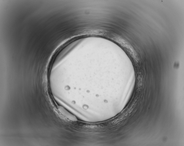 X0000097590792200803211635