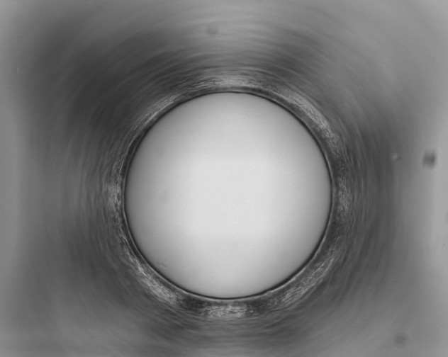 X0000097590793200803211635