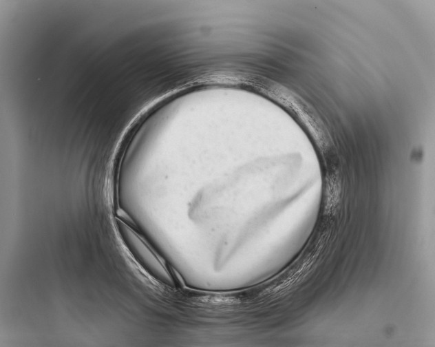 X0000097590795200803211635