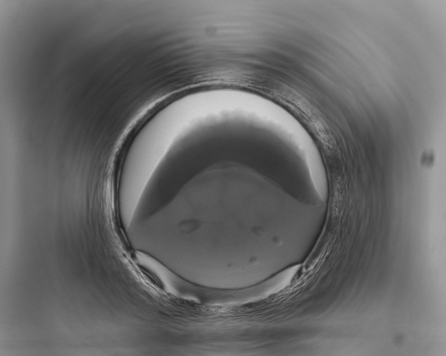 X0000097590796200803211635