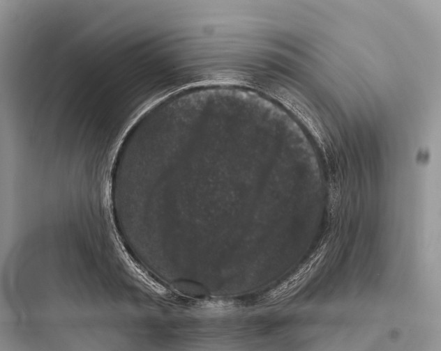 X0000097590797200803211635