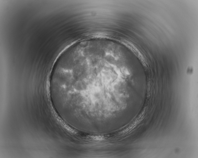 X0000097590798200803211635