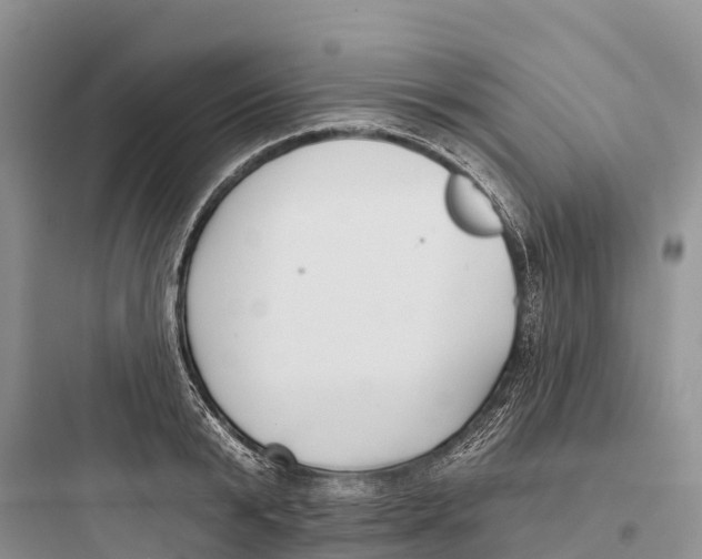 X0000097590799200803211635