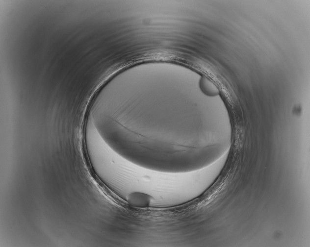 X0000097590802200803211635