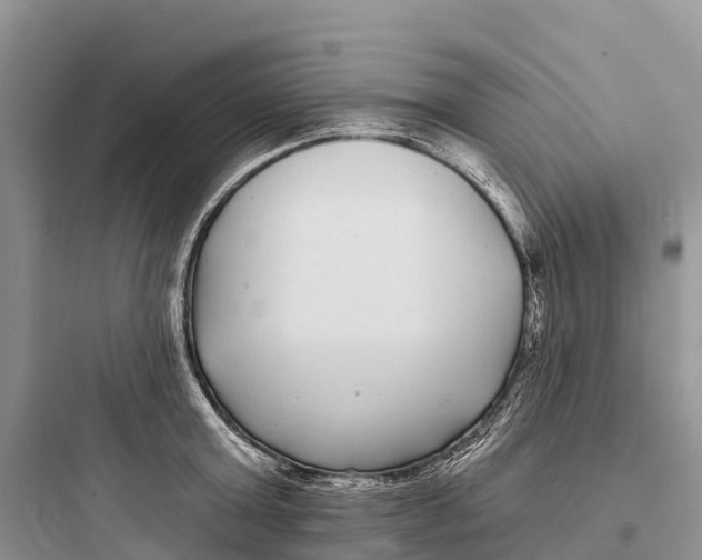 X0000097590803200803211635