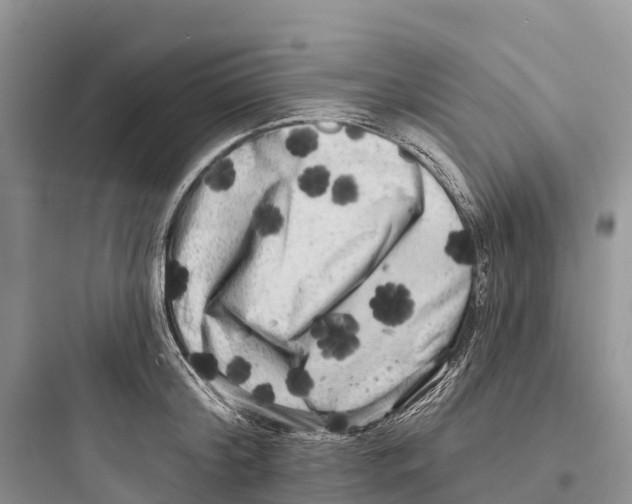 X0000097590804200803211635