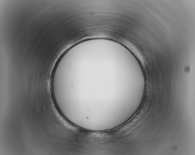 X0000097590805200803211635