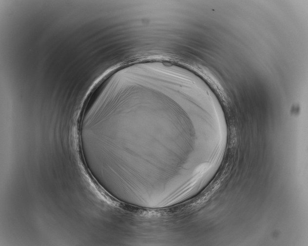 X0000097590806200803211635