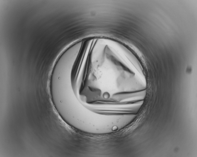 X0000097590807200803211635