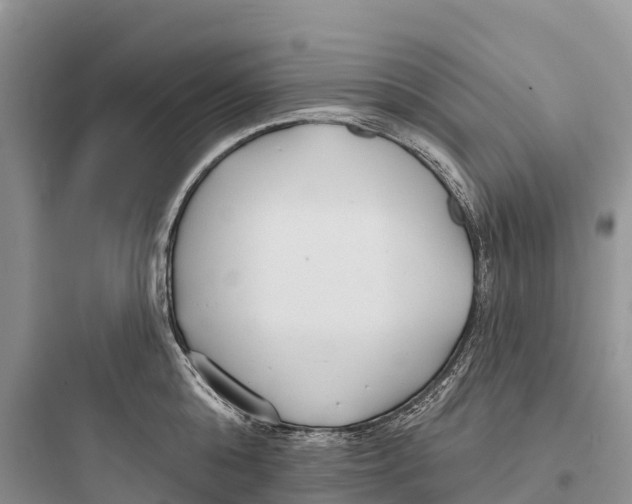 X0000097590808200803211635