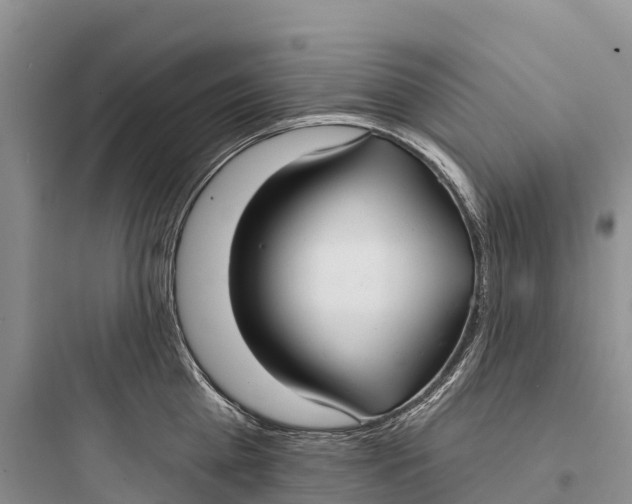 X0000097590809200803211635