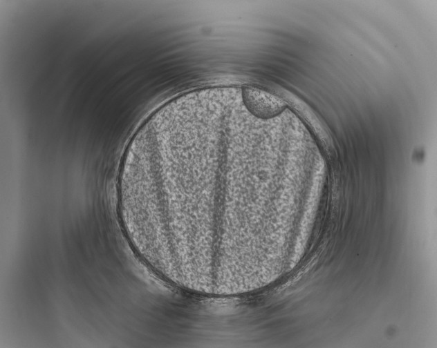 X0000097590810200803211635