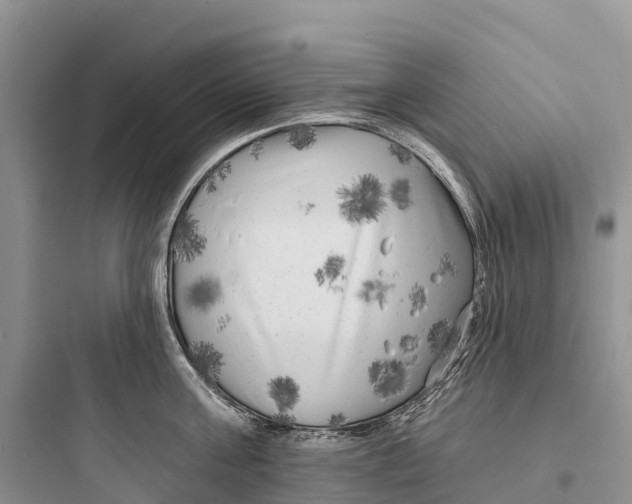 X0000097590811200803211635