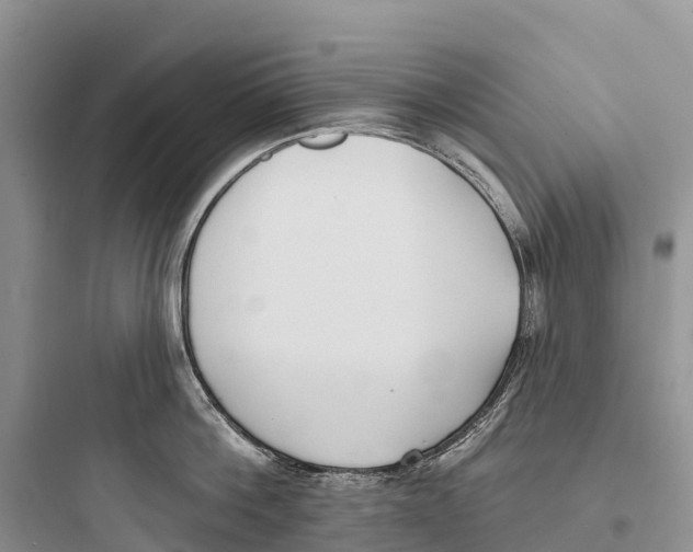 X0000097590812200803211635