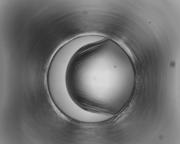 X0000097590813200803211635