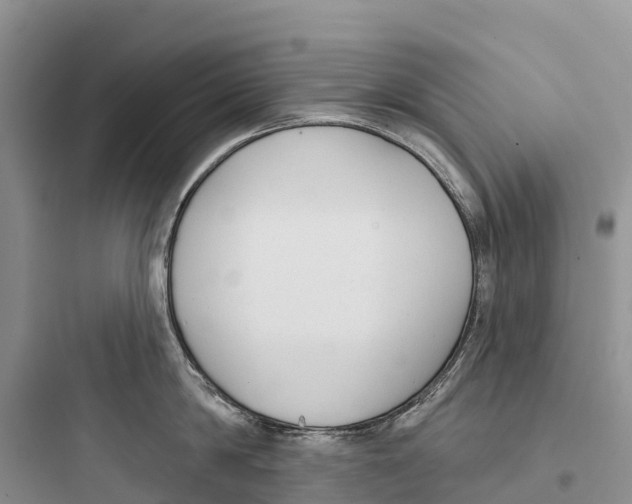 X0000097590814200803211635