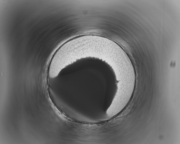 X0000097590816200803211635