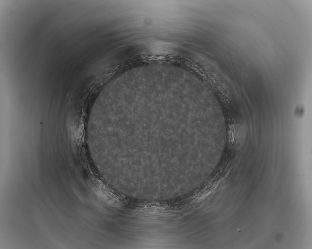 X0000097590820200803211634