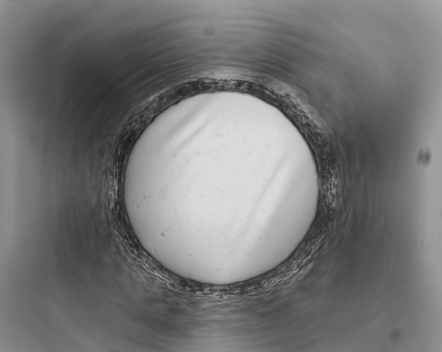 X0000097590821200803211634