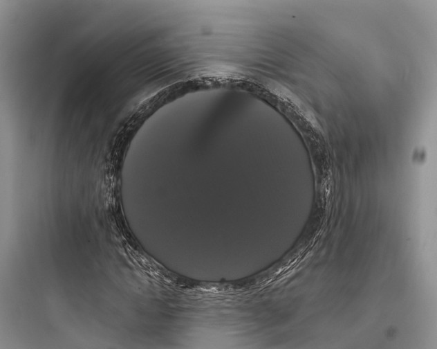 X0000097590822200803211634