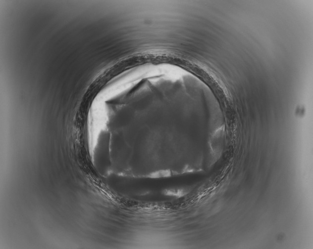 X0000097590823200803211634