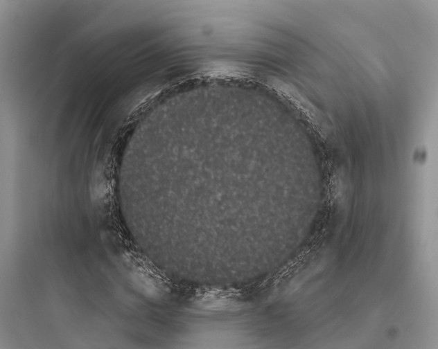 X0000097590824200803211634