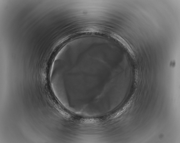 X0000097590826200803211634