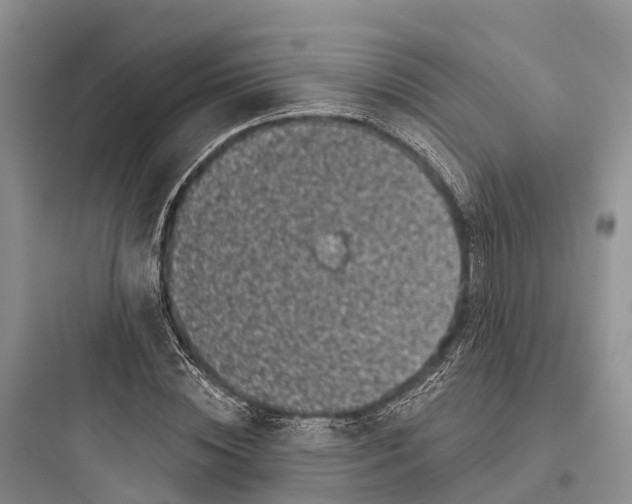 X0000097590828200803211634