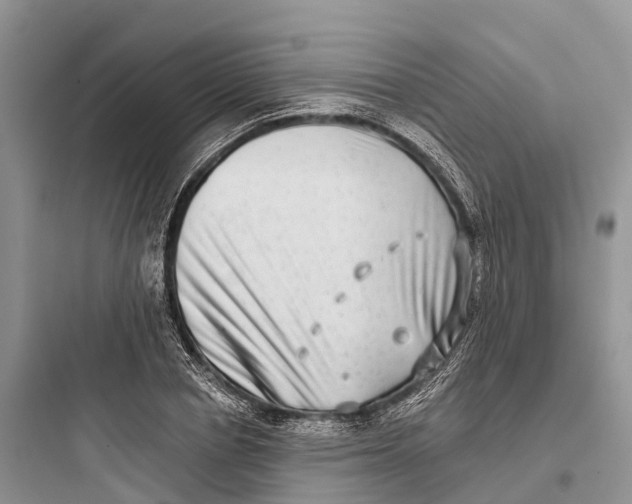 X0000097590834200803211634