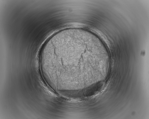 X0000097590835200803211634