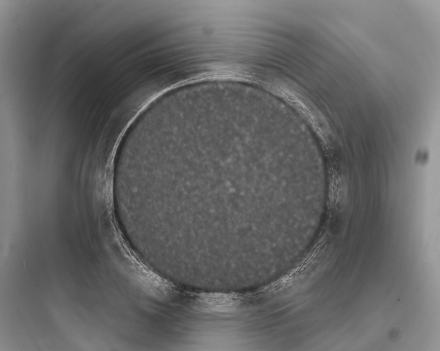 X0000097590836200803211634